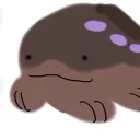 echoqk