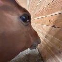 avatar ⋆ ☾ ⋆ ❀ ⋆