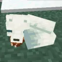 hayytp