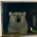 _reakt0r_