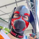 dexter_the_pup