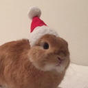 avatar ricky ‧₊˚