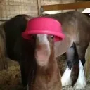 ffeym