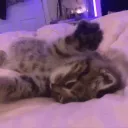 princessskimy