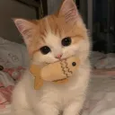 princessskimy