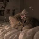 princessskimy