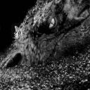 avatar 𝒍𝒆𝒏𝒂 ♥