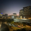 avatar RadiantCoastline