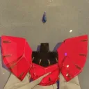haslivetv