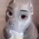 avatar 𝙠𝙚𝙧𝙗𝙮