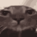 avatar ᲼᲼᲼᲼᲼᲼setdef