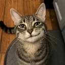 adamkoad