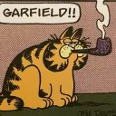 awerhsn