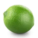 lemondotjpg