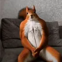 mttrrxx
