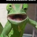 avatar 𝑶𝒏𝒌𝒆𝒍