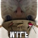 avatar Xx_NinjaPro_xX