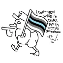 thomaz_the_duck