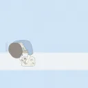 nt.tm