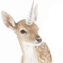 avatar 𖦹 ׂ 𓈒 🥞 ／ ⋆ ۪