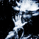 Magical_royal