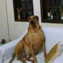 HerGoodboy
