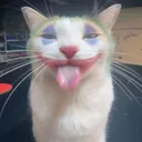 vzkk
