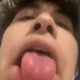 capy_gmd