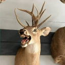 tthatggguy#9590's avatar