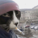 avatar 𝕂𝕒𝕤𝕤