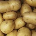 patatasoprwtos avatar