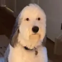 anxiousghost9801