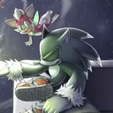 captan's Avatar
