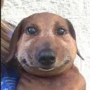 idiotinanomercy avatar