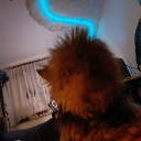 raygix