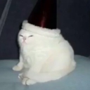 avatar TwntyOne