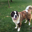 avatar 💕Delaney💕