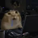 pudimm_0