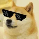 thegoldendoge01