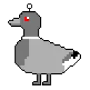 DukccBot