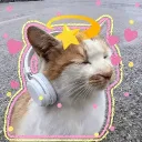 ihptunes