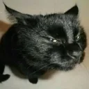 sweetestmiel