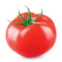 pomidor12