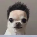 stukadarab
