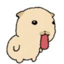 timsopixl#0's pfp