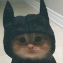 https://cdn.discordapp.com/avatars/664063944654323728/c4dc3850f2d813392e2c92d876f9c95e.jpg?size=128