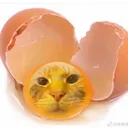 buggolis