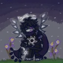 shiro_idk