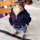 wondzak