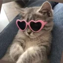 idkmatti